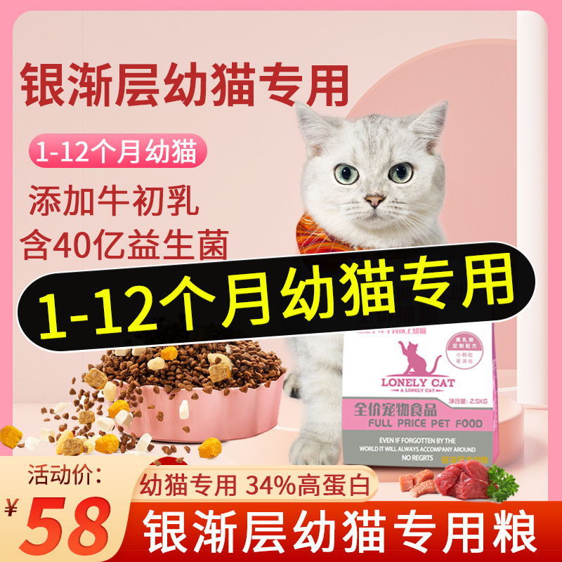 Silver Shaded Kitten-Specific Cat Food for 1 to 3 Months Old, Top Ten Brands for 4 to 12 Months Old, Probiotic Nutrition Ranking List Silver Shaded Kitten-Specific Cat Food for 1 to 3 Months Old, Top Ten Brands for 4 to 12 Months Old, Probiotic Nutrition Ranking List