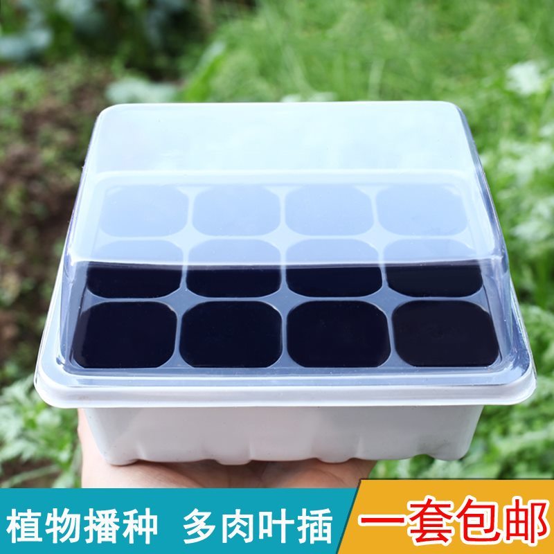 Cuttage Nursery dedicated basin Seedling Cartridges Cover Moon Season Horticulture Leaf Insertion Trays Sowing Divinity Cups of Nutritional Cups