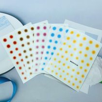 DIY Japanese Synchronized Thin Translucent Adhesive Manicure Stickers Halo Dyeing Blush Effect Series 2