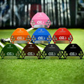 Lab golf