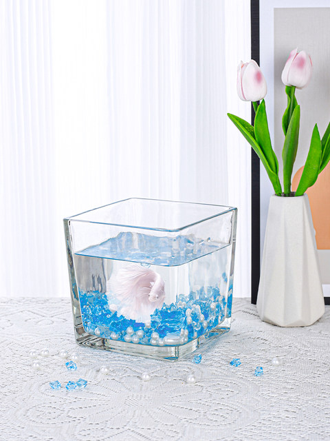 2025 new high-definition betta fish tank complete set of small living room decoration balcony small fish pond desktop glass square fish tank