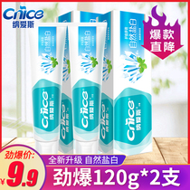 Nais Salt White ice chrysanthemum fruity toothpaste to yellow tartar bright white to bad breath 120g * 2 whitening tone fresh