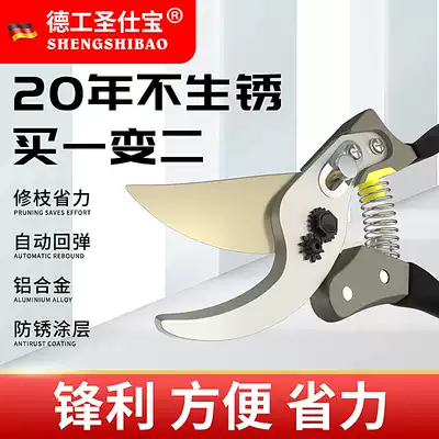 Pruning Fruit tree pruning shears horticultural pruning branches garden labor-saving Flower Branch shears household tools scissors artifact