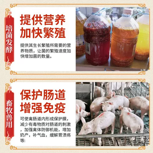 Сельскохозяйственная посадка аквакультура коричневый сахар и животноводство животноводство