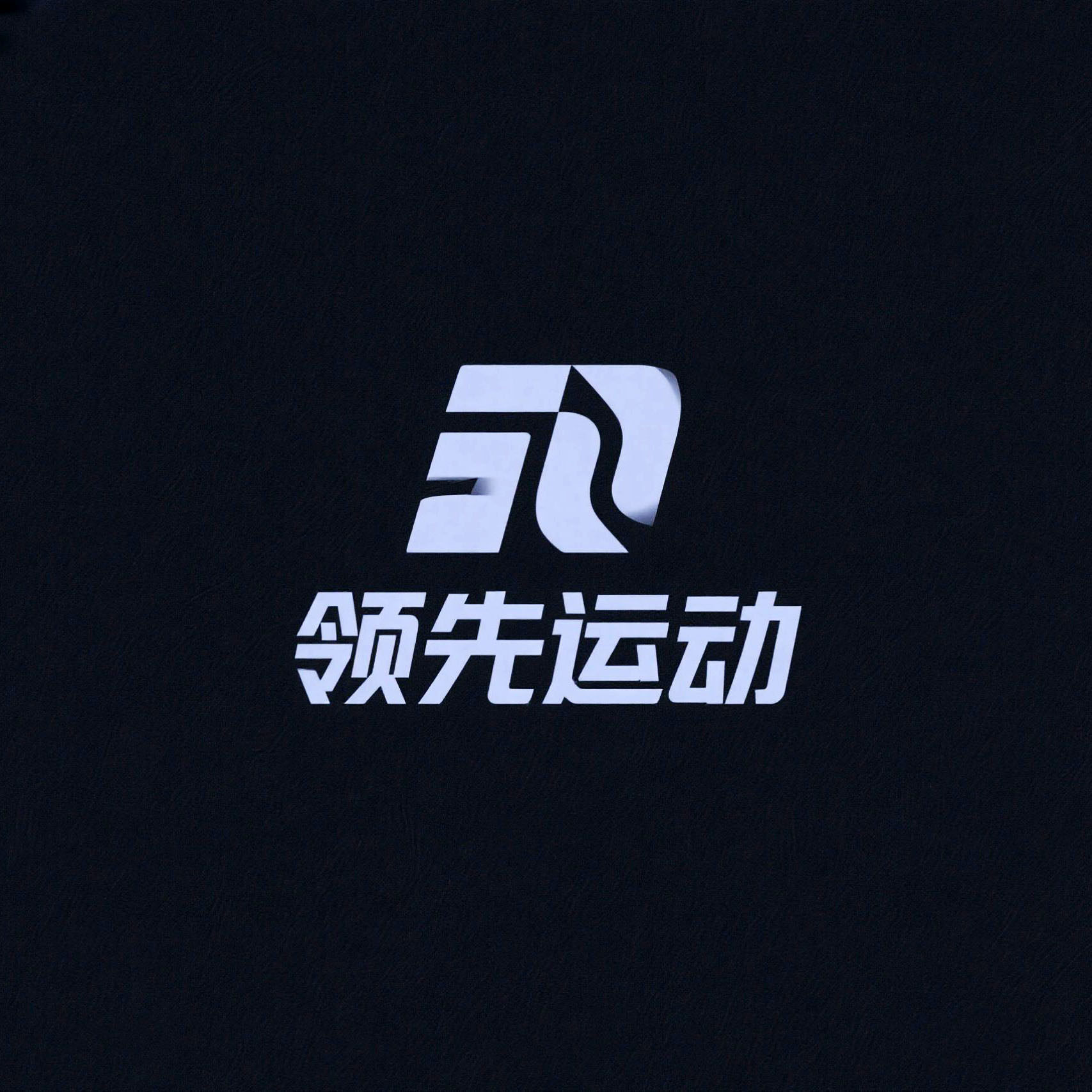 领先运动