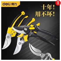 Del pruning shears fruit trees pruning branches flower scissors gardening strong shears branches flower art household pedicure cutters