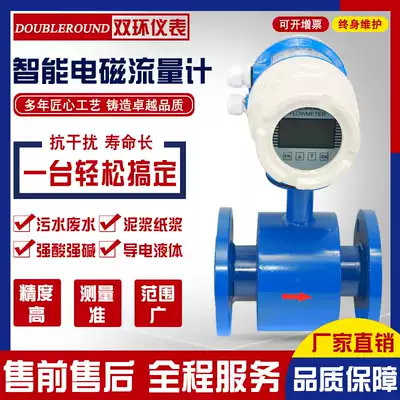 Intelligent electromagnetic flowmeter Sewage integrated two-piece pipeline DN25 50 80 100 Plug-in anti-corrosion type