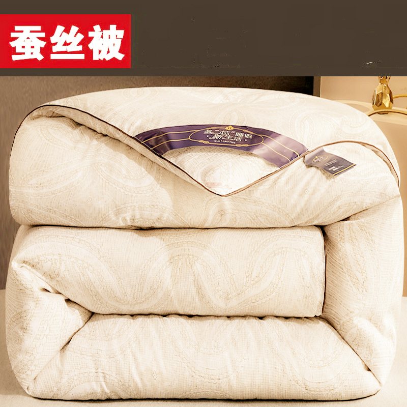 Silk Quilt Winter Quilt thickened warm winter All cotton quilt core Spring autumn quilted by double air conditioning by single person Dormitory Winter