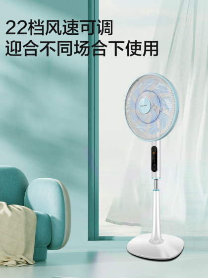 格力正品电风扇新款落地轻声家用一级能效直流变频立式大风力遥控