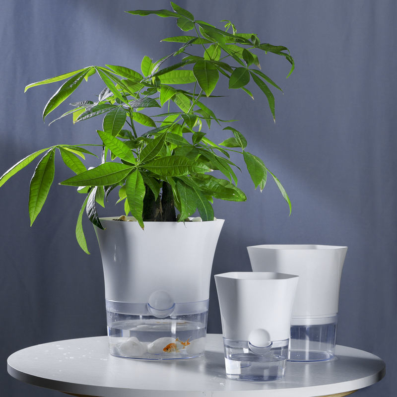 Lazy flowerpot creative simple transparent automatic water-absorbing plastic flowerpot indoor green dill succulent potted plant flowerpot
