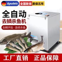 Automatic fish killing machine Large multi-function commercial fish killing machine Small descaling belly and back all-in-one machine