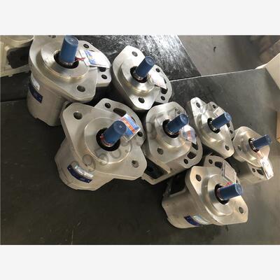 Hefei Wanli Hydraulic Components Co., Ltd. Гидравлический шестеренный насос Масляный насос высокого давления CBFP-F671-AFPL