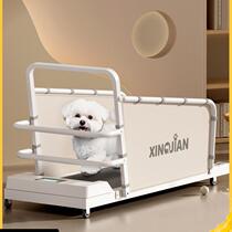 Dog treadmill dog with kitty treadmill than bear teddy Kirky pet treadmill small and medium dog walker