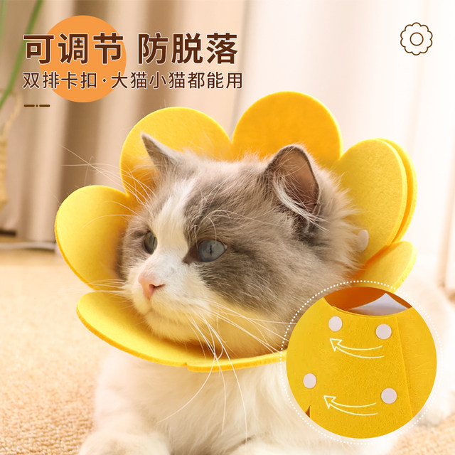 Elizabethan collar cat sterilization collar Elizabethan collar anti-licking collar headgear dog collar ອຸ​ປະ​ກອນ​ສັດ​ລ້ຽງ