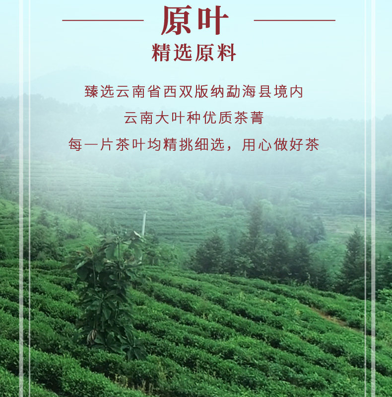 中茶 2020年 金鸡沱茶 云南普洱茶 熟茶紧压茶100g