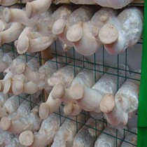 Manufacturer spot mushroom net out of mushroom room net rack mesh sheet breeding grid net rack edible mushroom mushroom cultivating frame