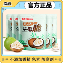 South China Raw Coconut Crunchy 30gx5 Bag Hainan Special Scents Baked Coconut Meat Coconut Crunchy Pieces Casual Snacks