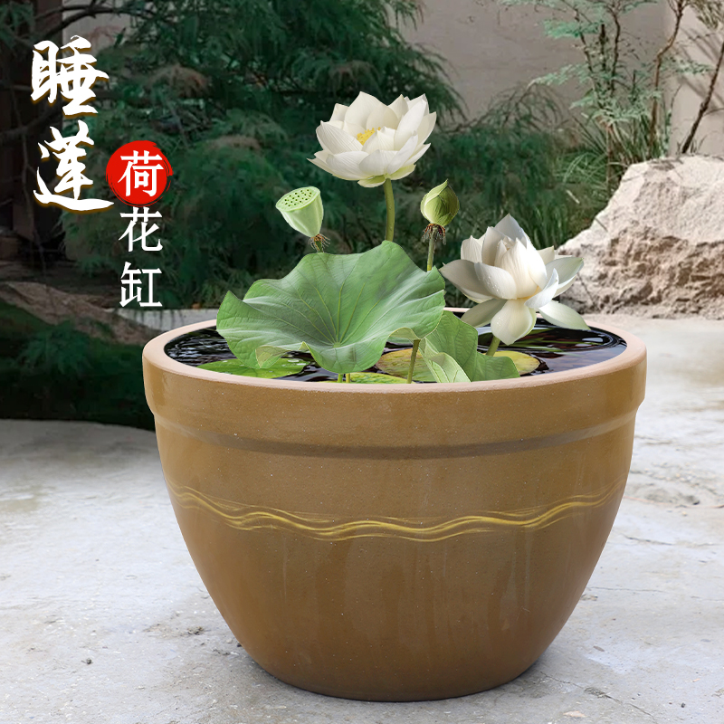 O1CN01SP4eem1VzBRimSlTo_!!