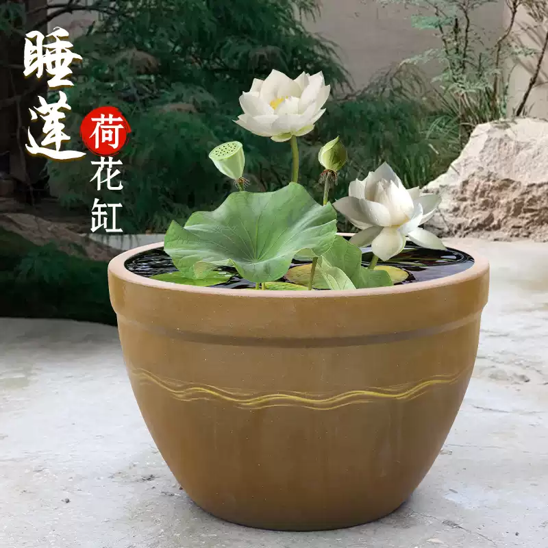 古法陶瓷魚缸戶外土陶荷花睡蓮缸家用庭院大型金魚缸訂製-Taobao-Tmall
