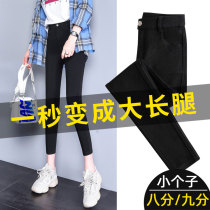 145 short eight-point high waist high-beat bottom pants summer thin money tight little black pants magic nine-point pencil