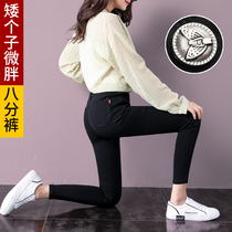 Winter plus suede little guy wearing lap 145 beats bottom pants woman 150 short and slightly fat and high matching with small feet 90% pants