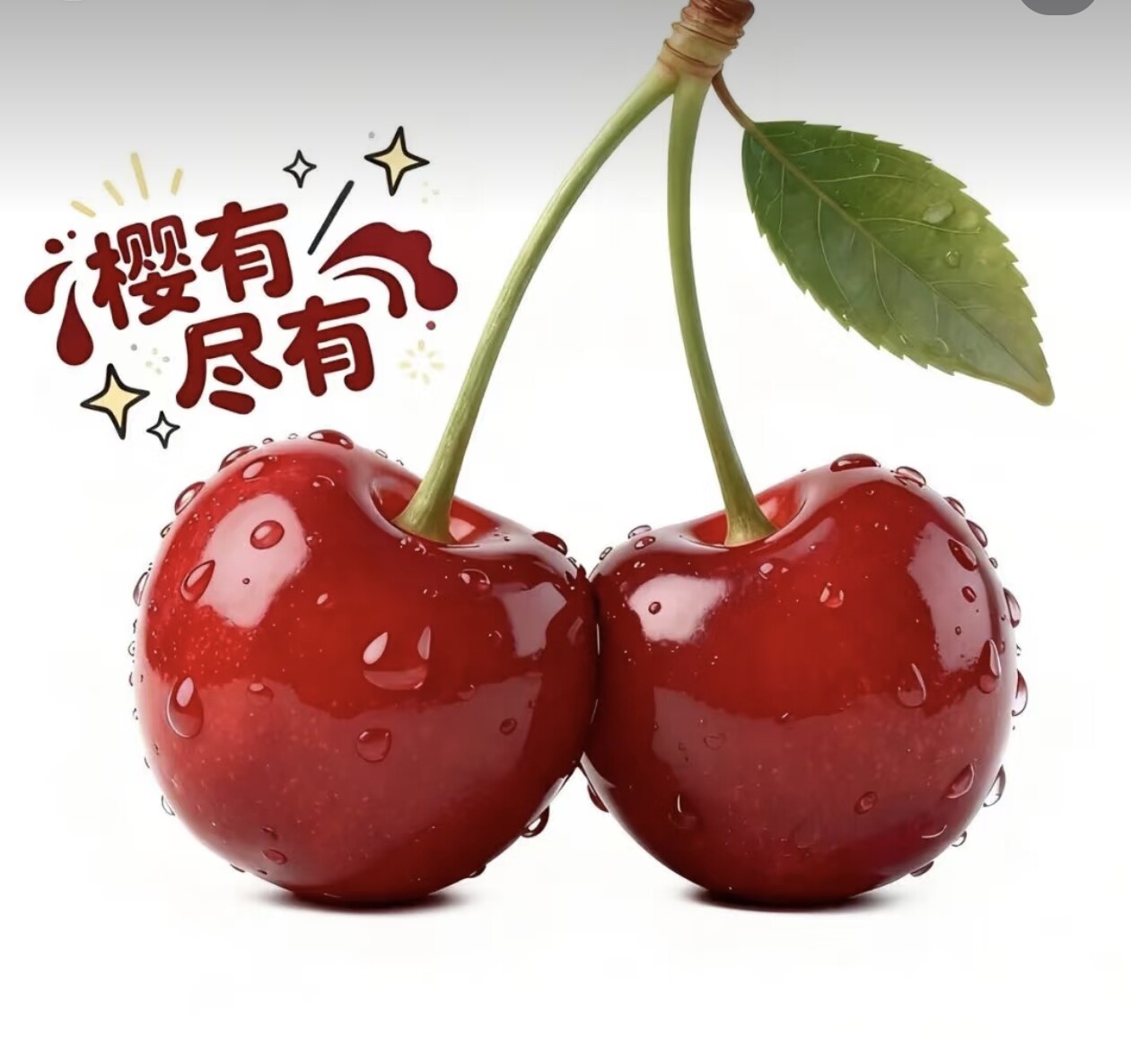 大小姐 个人护理 百货店的LOGO