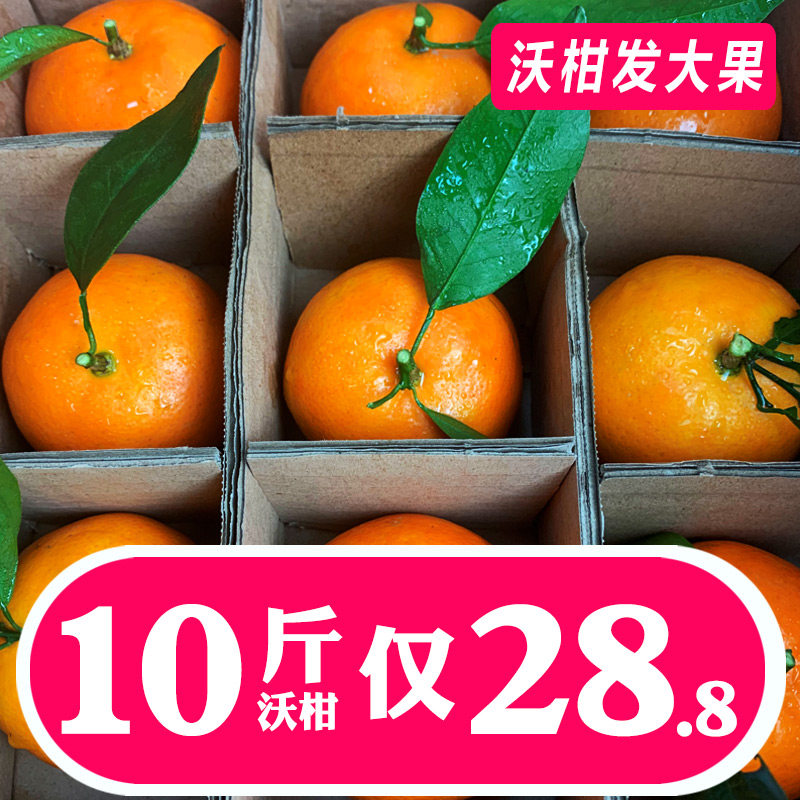 Guangxi Wuming Wowo citrus fruit fresh fruit 10 kg Emperor orange Tangerine Orange Gong Citrus sugar orange 5