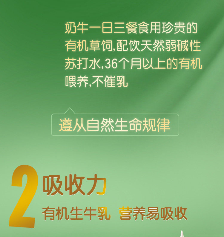Chunyu 2_05.jpg