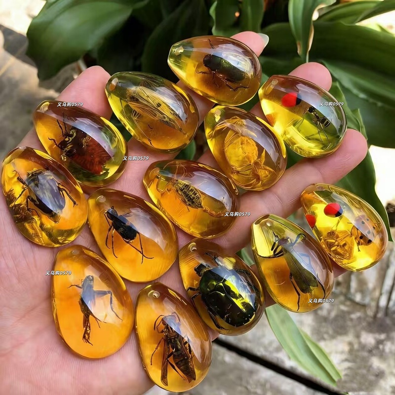 Amber Insect Fossil Specimen Pendant Ornament Children's Toy Kindergarten Gift Reward Small Gift Student Prize