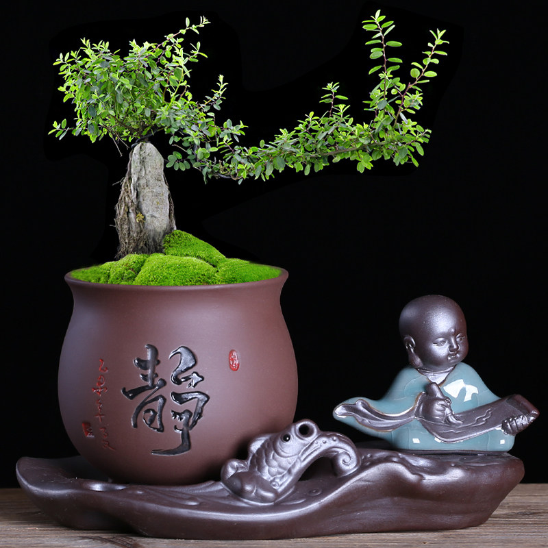 Zisha flowerpot creative combination Wenzhu potted living room desktop Zen small monk ornaments office banyan ceramic pot