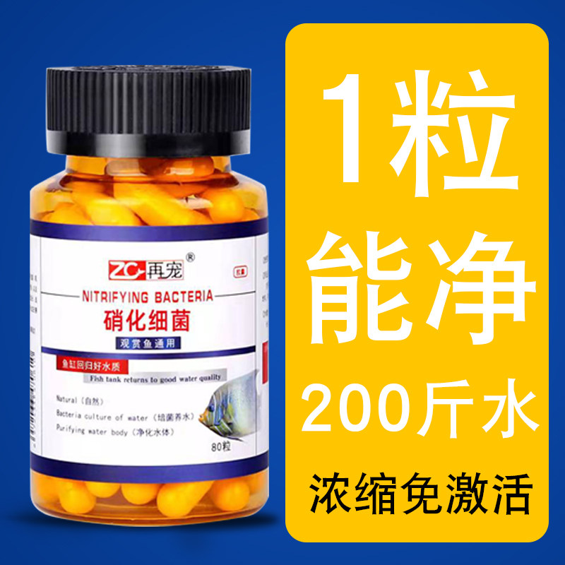 Fish Fish Fish Fish Fish Fish Fish Fish Fish Fish Fish Fish Fish Fish Fish Fish Fish Fish