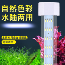 Fish tank lamp led lamp waterproof straw cylinder light aquarium light energy saving small diving light bracket light water straw lamp
