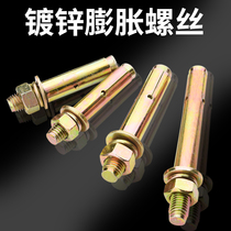 Galvanized expansion screw external expansion bolt 6mm pull explosion explosion screw expansion pipe M8M10M12M14M16