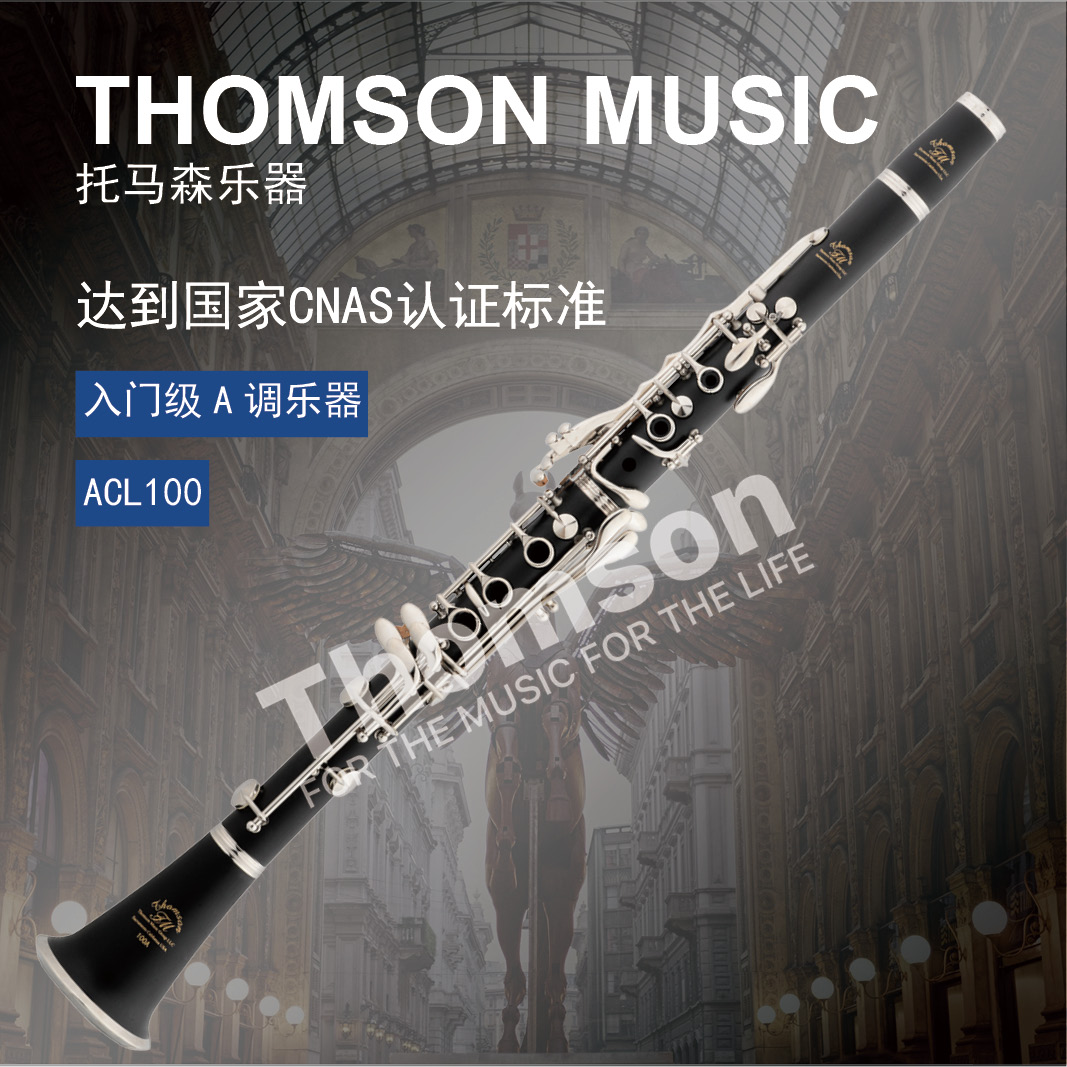 Tommason ACL100 clarinet This is a entry-level A tuning instrument-Taobao