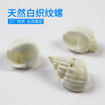 Natural Sea Snail Shells White Textured Thread Snail Fish Tank Building Decoration Handmade Diy Material Furniture Ornament Swing direct