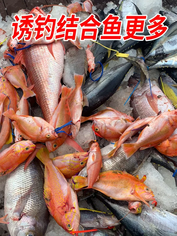 Кормушка для рыбалки Heni, морские принадлежности для рыбалки, группа Tianping, сборка, стальная нержавеющая, погружная, донная, устройство уловки глубоководной рыбной ловли