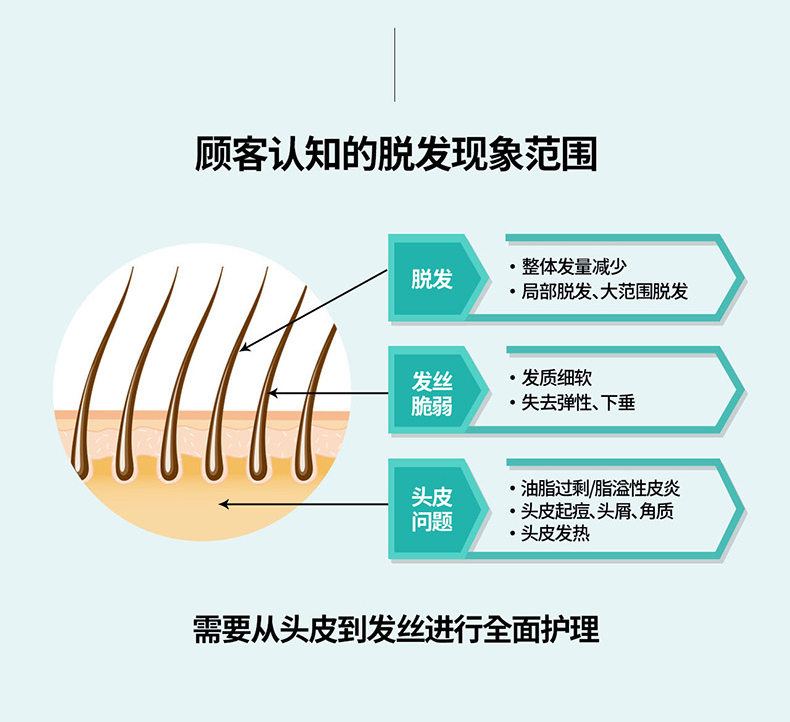 韩国进口 爱茉莉 02绿茶防脱洗发水 500g*2瓶 持久清爽 适合油性发质 图4