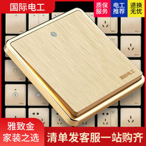 International Electrotechnical Home 86 Five-hole USB One-Open Dual-Control Switch Socket Panel Porous 5 Dark Air Conditioning Wall