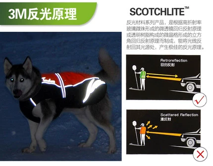 Truelove Dogs и собачья одежда полярная зарядка