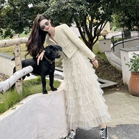 Куртка, юбка