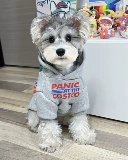 Демисезонный шнурок-держатель, флисовая удерживающая тепло толстовка, в корейском стиле