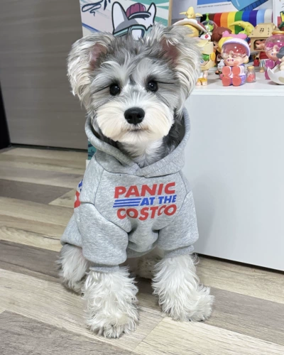 Демисезонный шнурок-держатель, флисовая удерживающая тепло толстовка, в корейском стиле