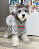 Демисезонный шнурок-держатель, флисовая удерживающая тепло толстовка, в корейском стиле