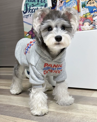 Демисезонный шнурок-держатель, флисовая удерживающая тепло толстовка, в корейском стиле