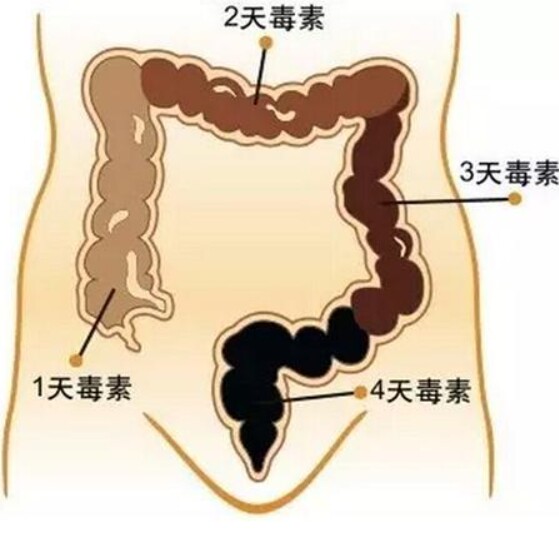 骆忠航肠道工作室的LOGO