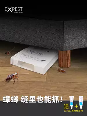 Cockroaches full nest end household artifact EXPEST cockroach capture artifact powerful sticky glue to remove cockroach