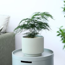 Xinjiang flower pot ceramic 2022 new vertical textured minimalist desktop ceramic Wenzhu flower pot
