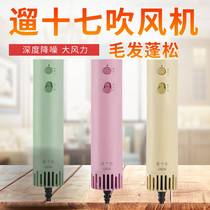 Walk seventeen Pets Beauty Hair Dryer Deep Noise Reduction Silent Big Wind Hanging Neck Dog Kitty Lafur Water drainer