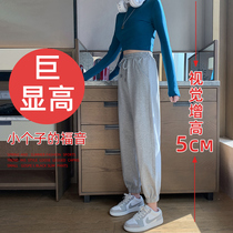Grey Sports Pants Woman Spring Autumn Loose Buns Foot Casual Wear Pants Summer Slim 2021 new small Lamp Cage Pants