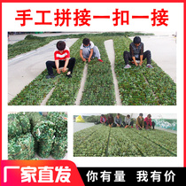 Anti-aerial photography camouflage net camouflage net outdoor mountain greening coverage net satellite blocking anti-counterfeiting net thickened sunshade net